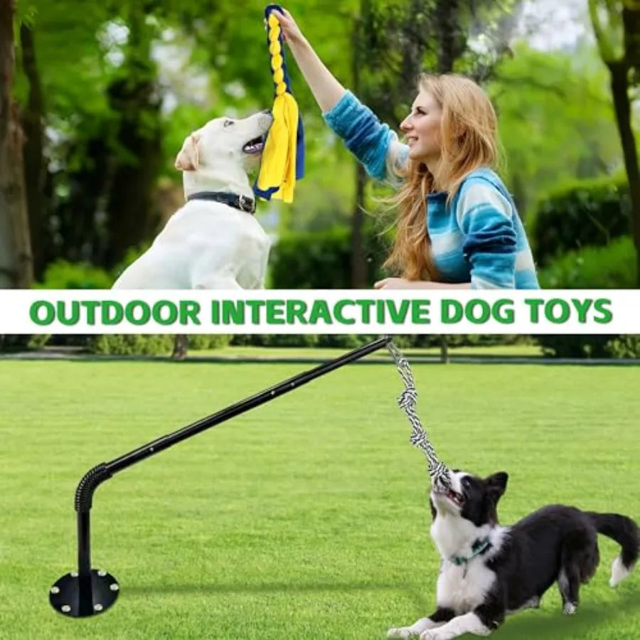 Tether Tug Outdoor Dog Toy