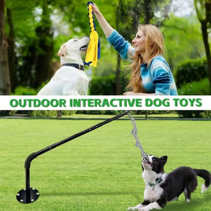 Tether Tug Outdoor Dog Toy