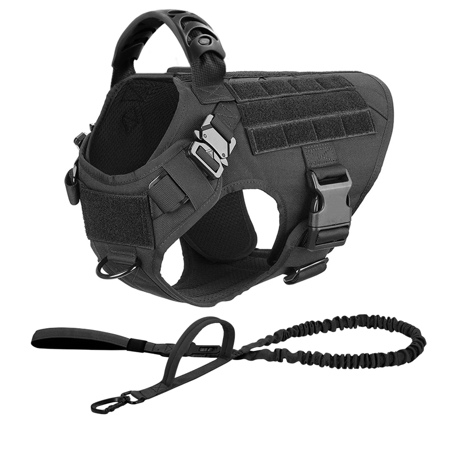 Large Dog Harness & Leash Set