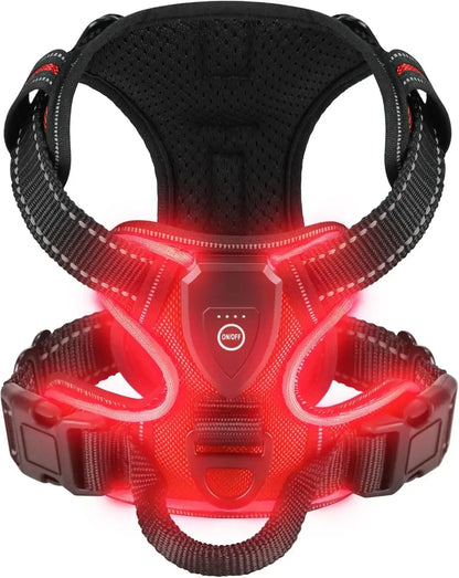 Rechargeable luminous Dog Harness