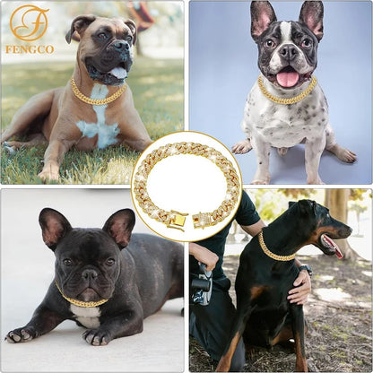 Luxury Gold Dog Chain Collar