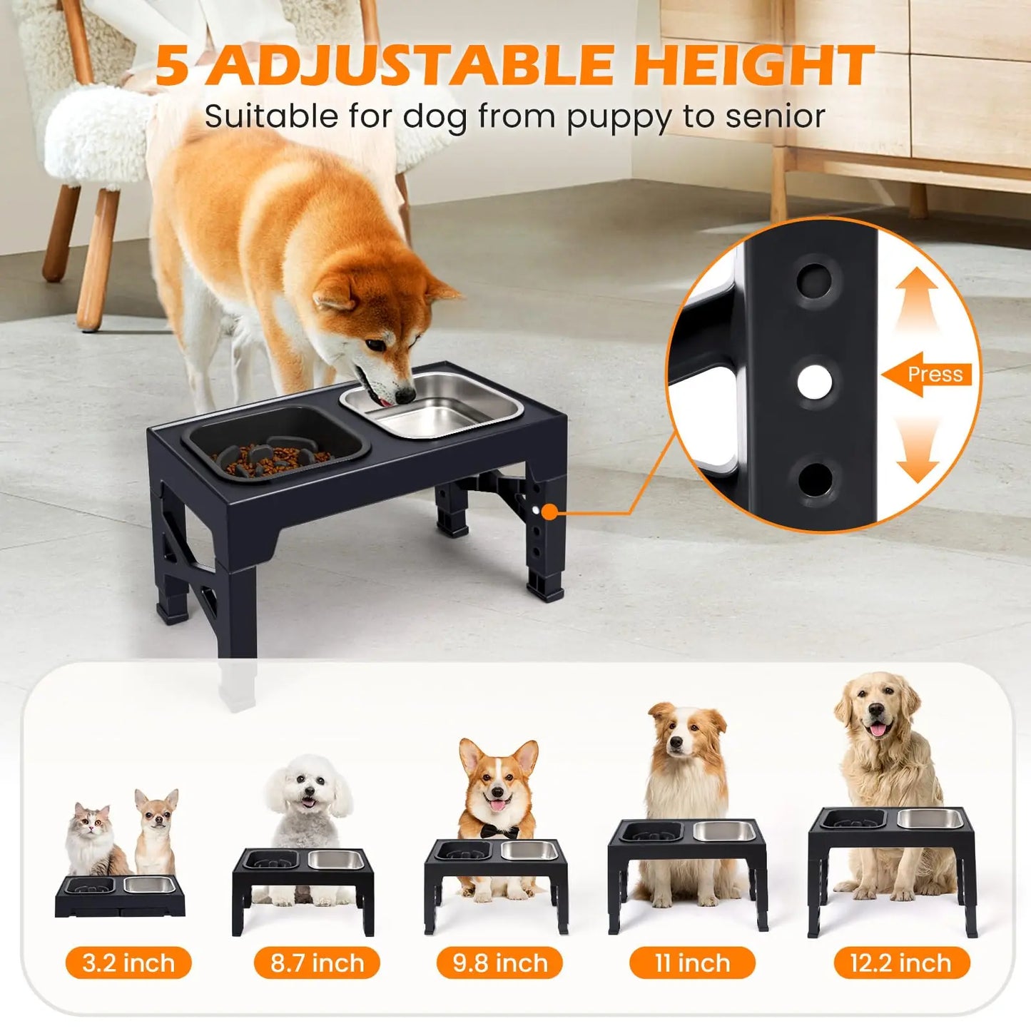 2-in-1 Elevated Slow Feeder Bowls