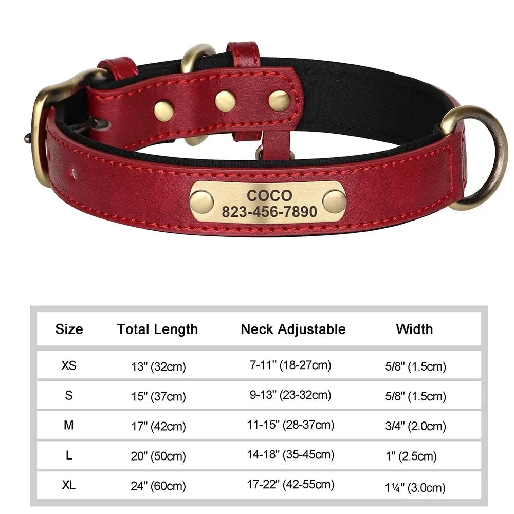 Customized Leather ID Nameplate Collar