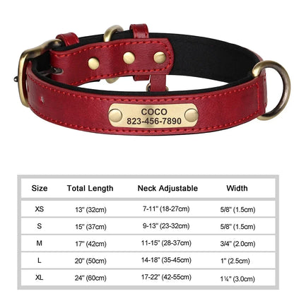 Customized Leather ID Nameplate Collar