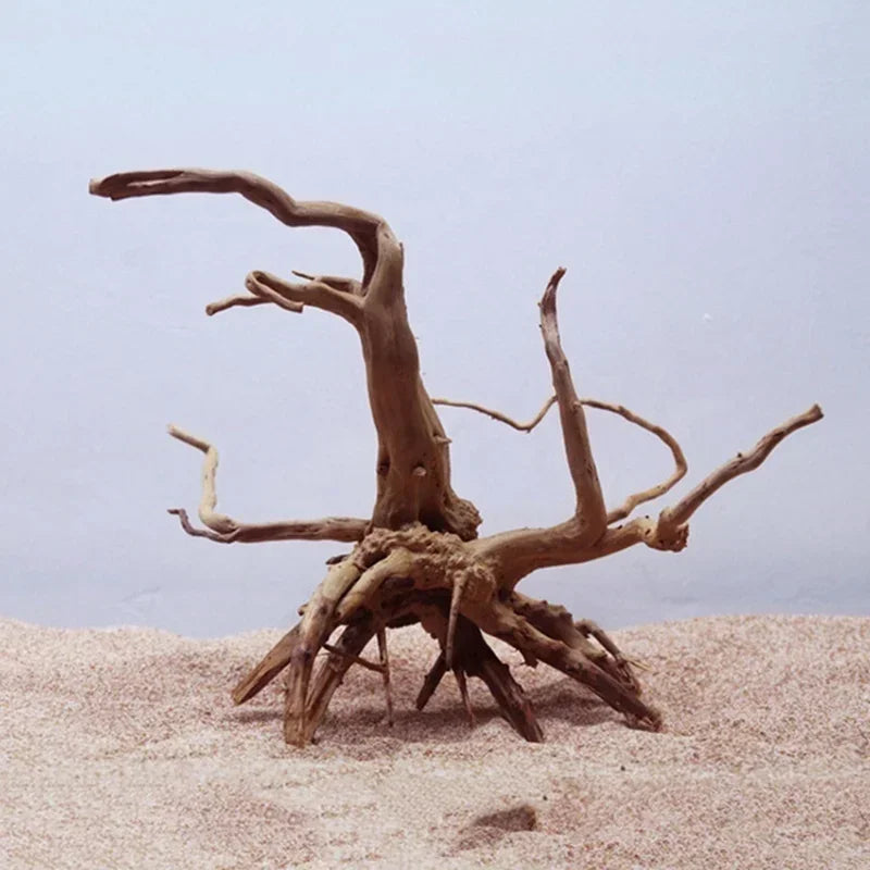 Natural Driftwood Tree Trunk