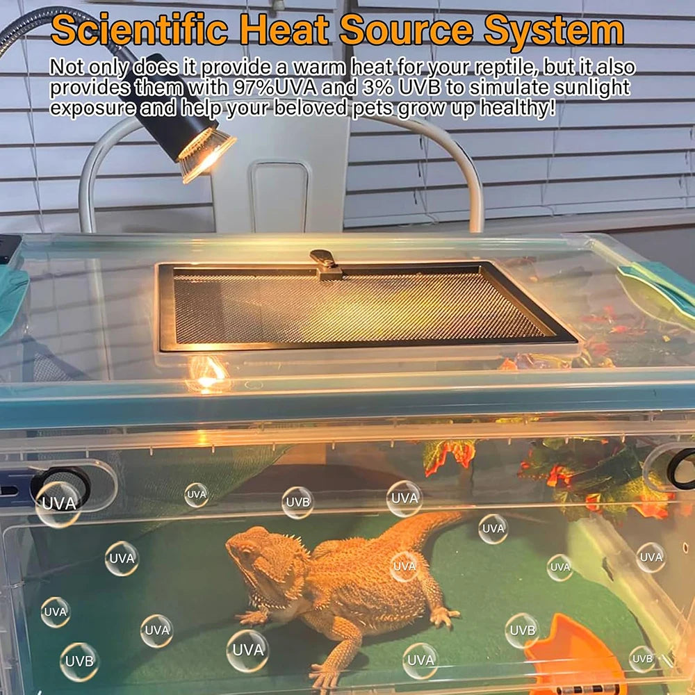 Reptile Heat Lamp 50W UVA UVB Light