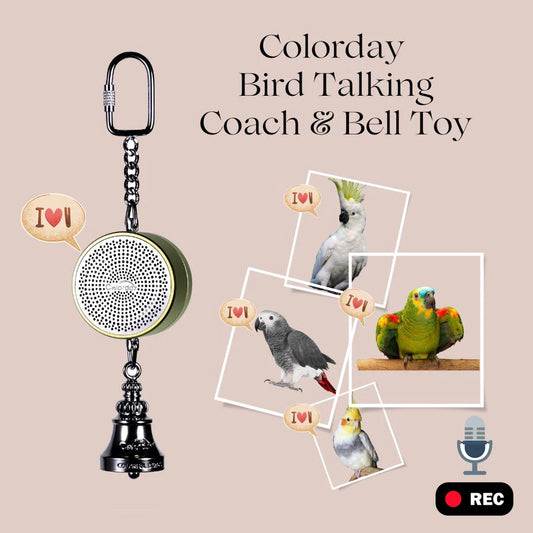 Parrot Teaching, Training Toys