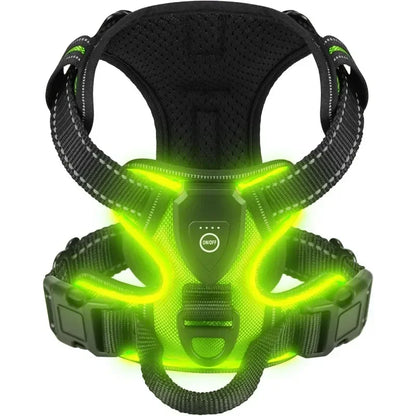 Rechargeable luminous Dog Harness