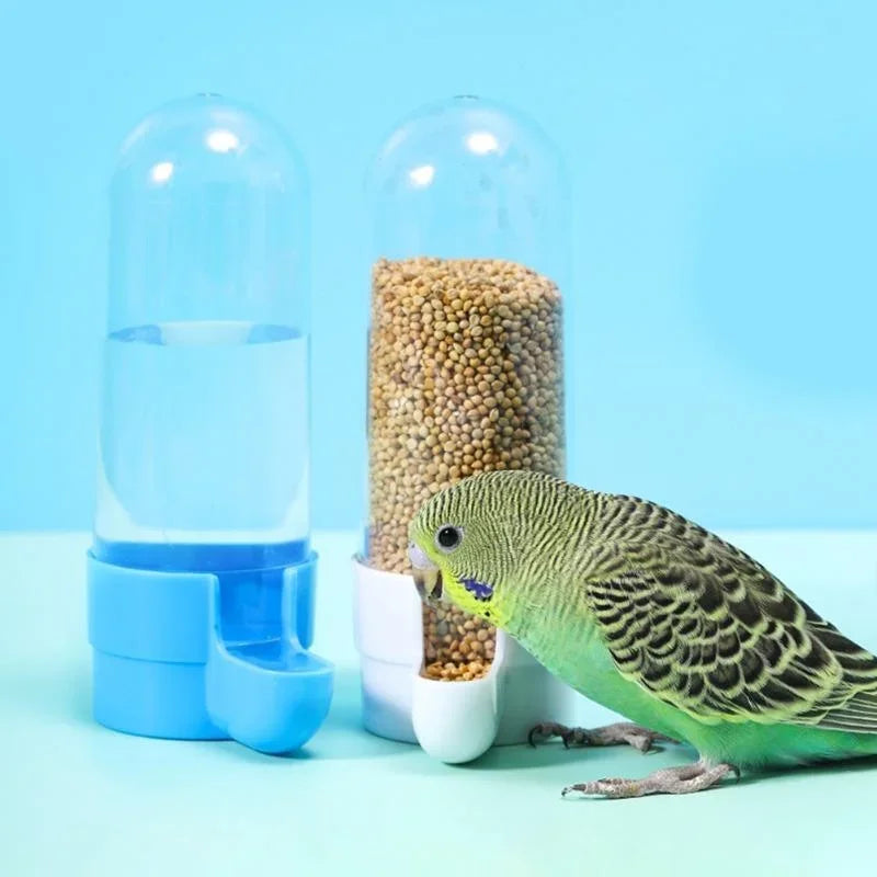 Hanging Parrot Feeder/Dispenser