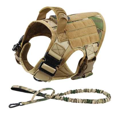Large Dog Harness & Leash Set