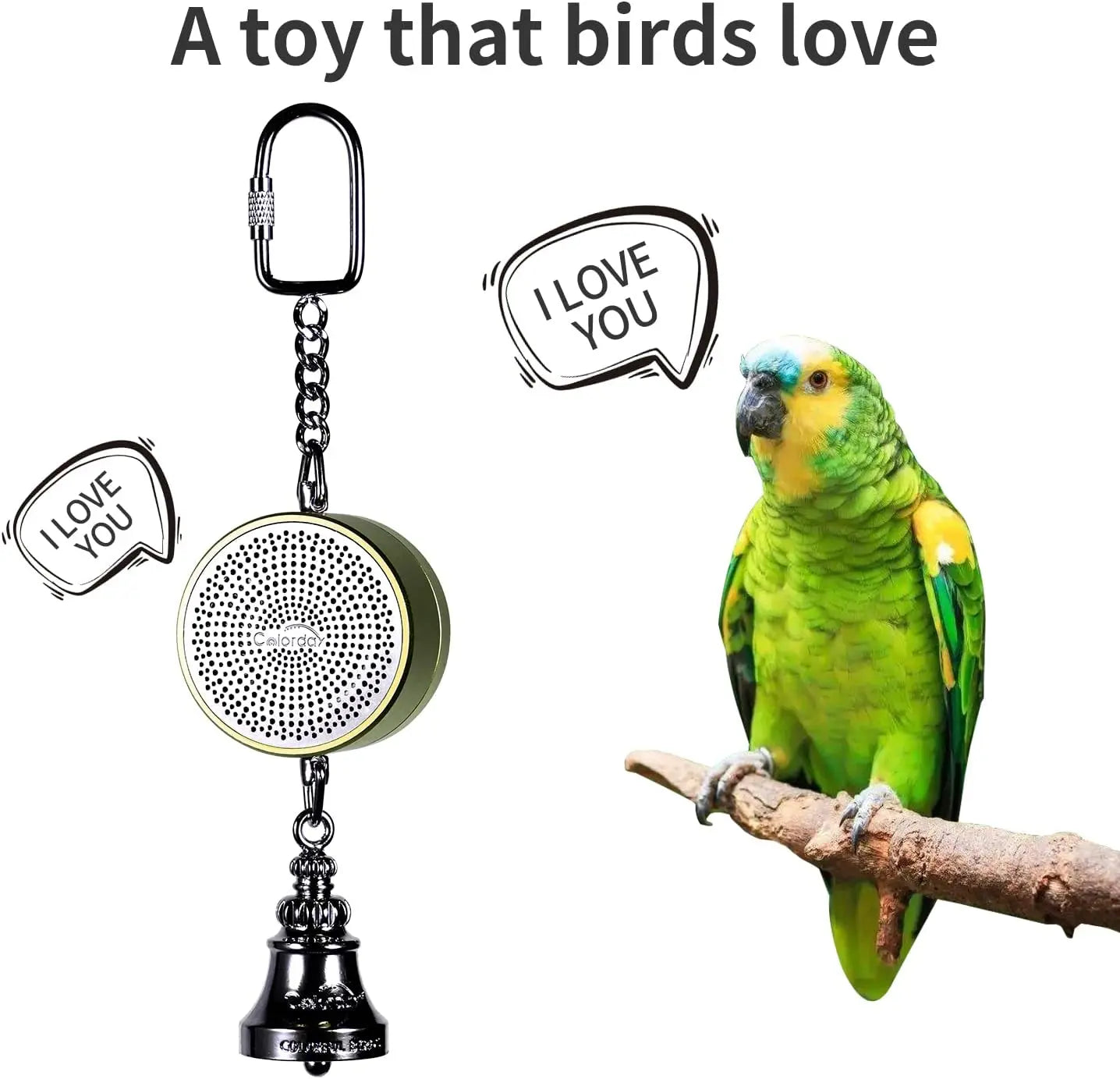 Parrot Teaching, Training Toys