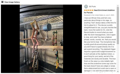 Parrot Teaching, Training Toys
