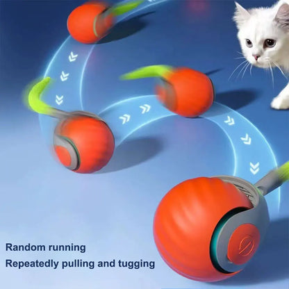Smart Electronic Interactive Toy Ball