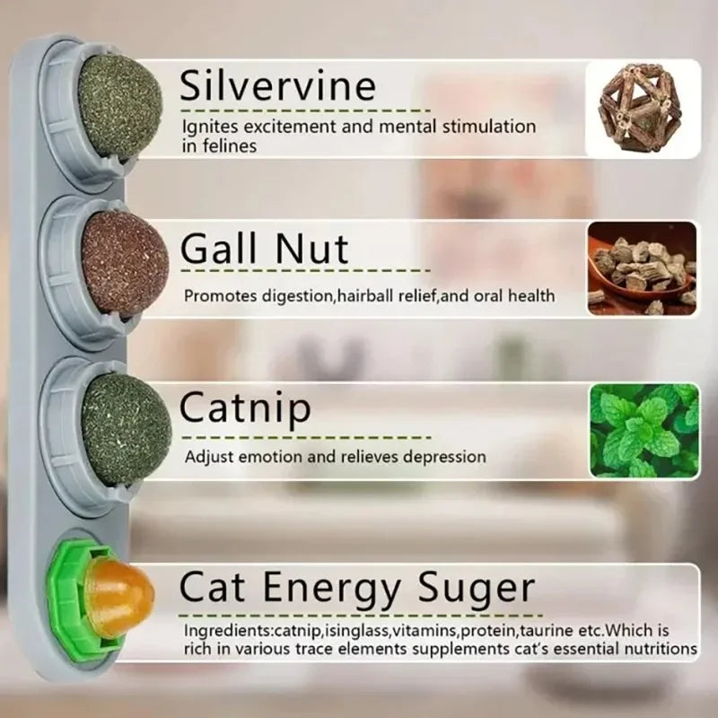 Rotating Catnip Silver Vine Ball