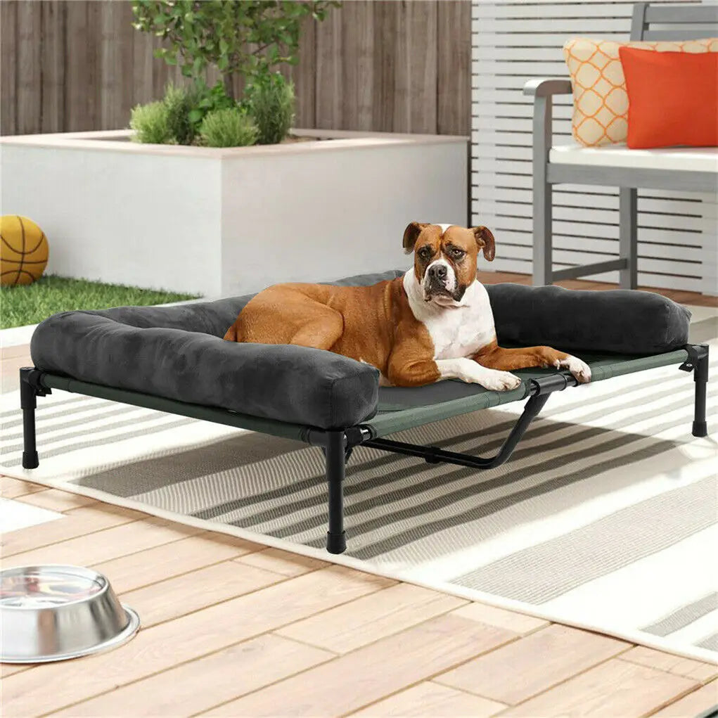 Elevated, Indoor & Outdoor Dog Bed