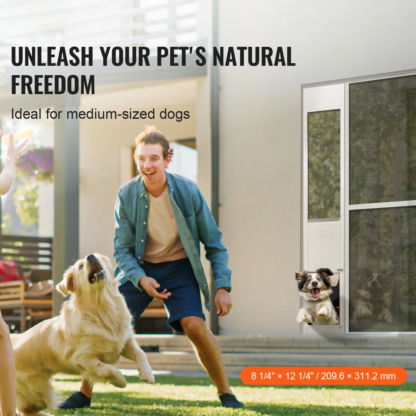 Dog Sliding Glass Door
