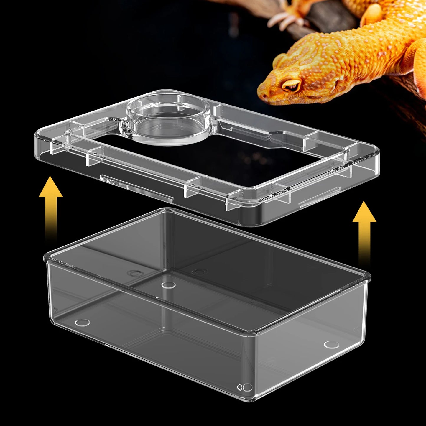 Feeding and water bowls for reptiles