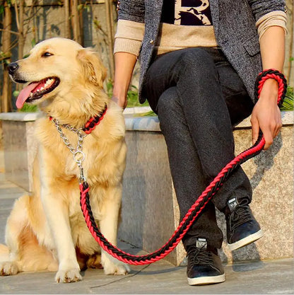 Double Strand Leash & Rope for Large Dogs