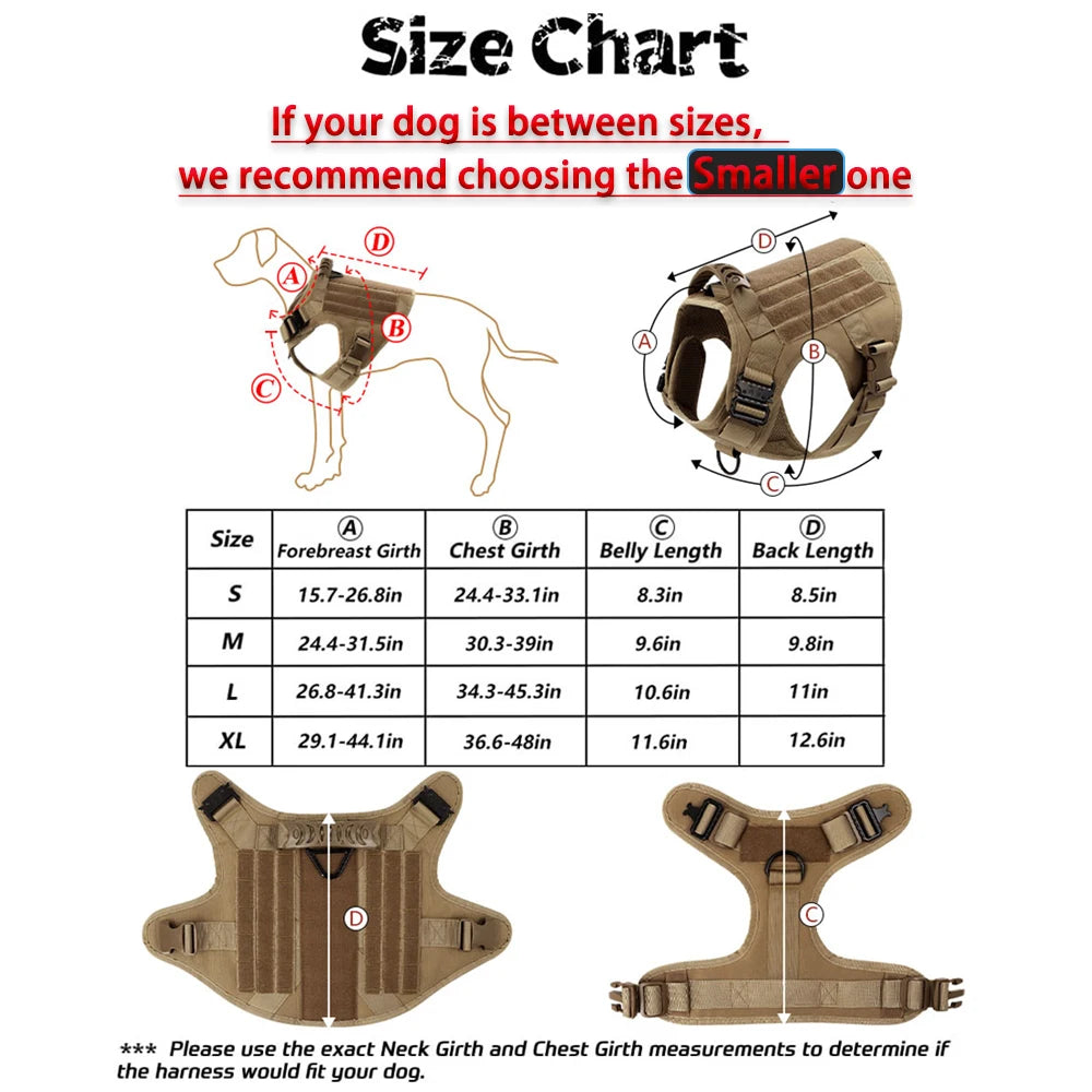 Large Dog Harness & Leash Set