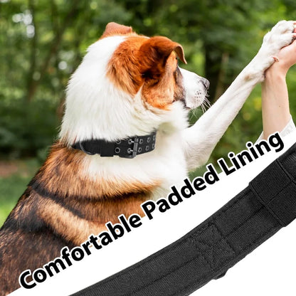 Adjustable Military Dog Collar