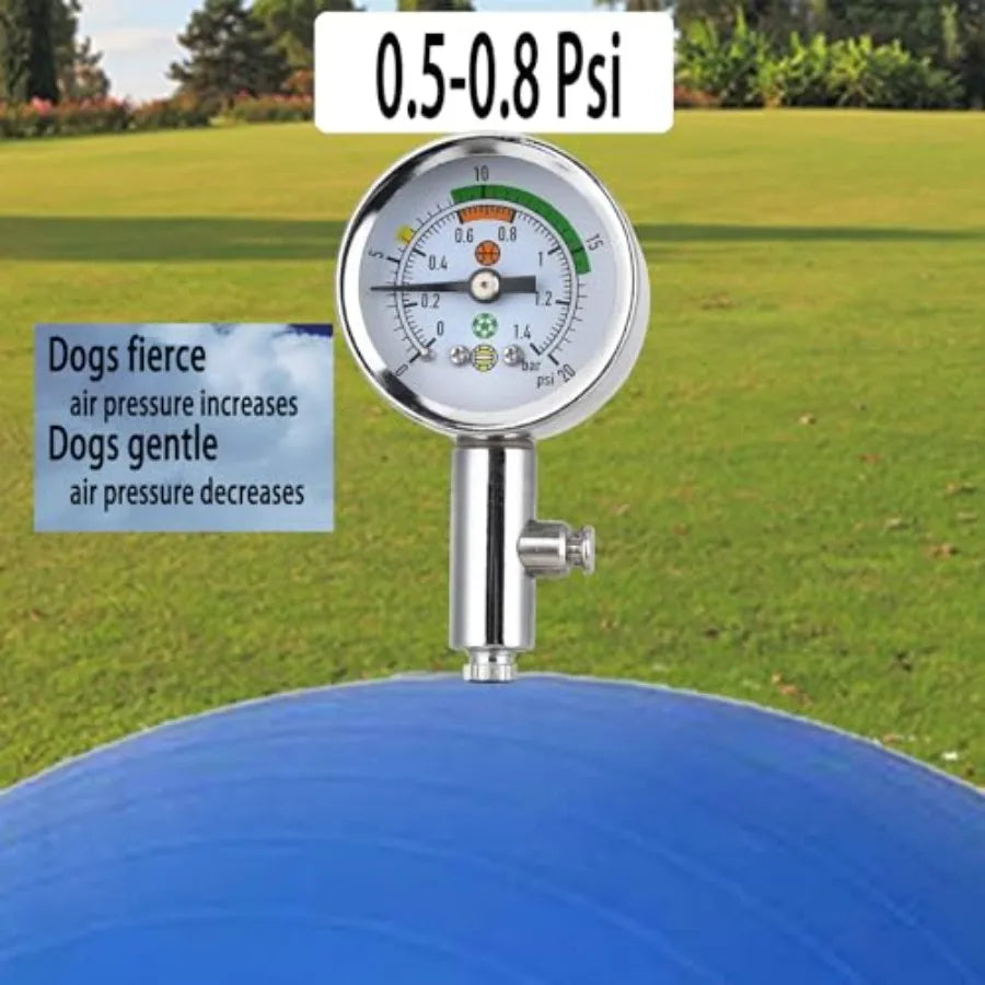 25" Heavy Duty Blue Herding Ball