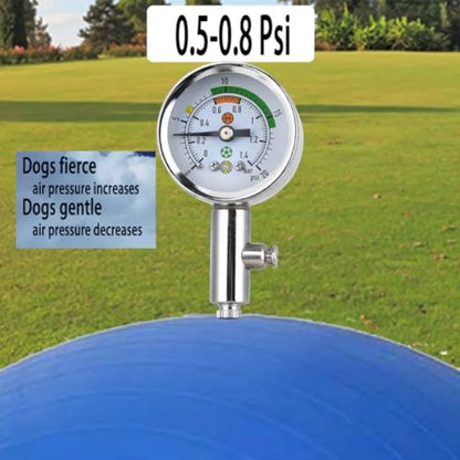 25" Heavy Duty Blue Herding Ball