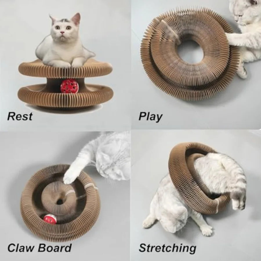 Magic Cat Toy for Indoor Cats
