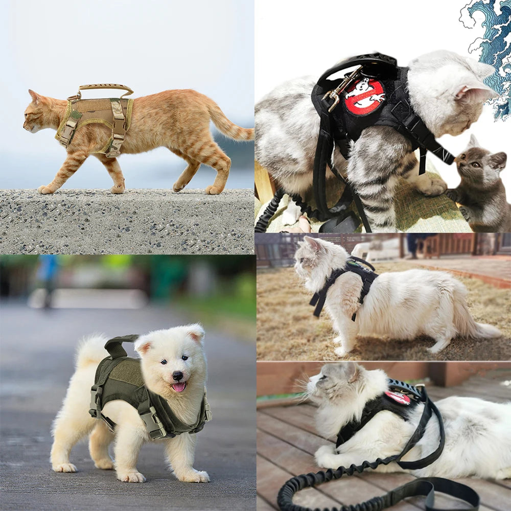 Tactical Walking Escape Proof Cat Harness