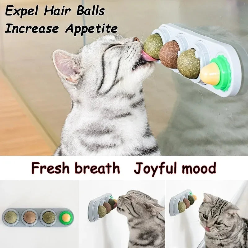 Rotating Catnip Silver Vine Ball