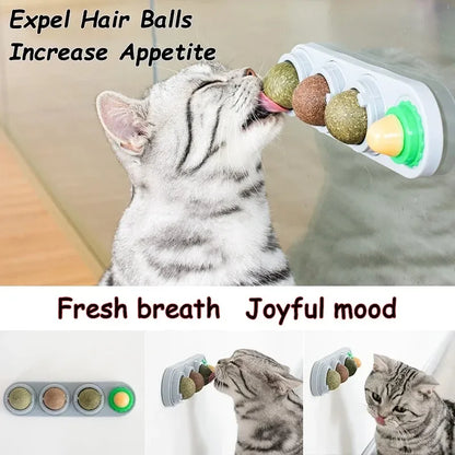 Rotating Catnip Silver Vine Ball