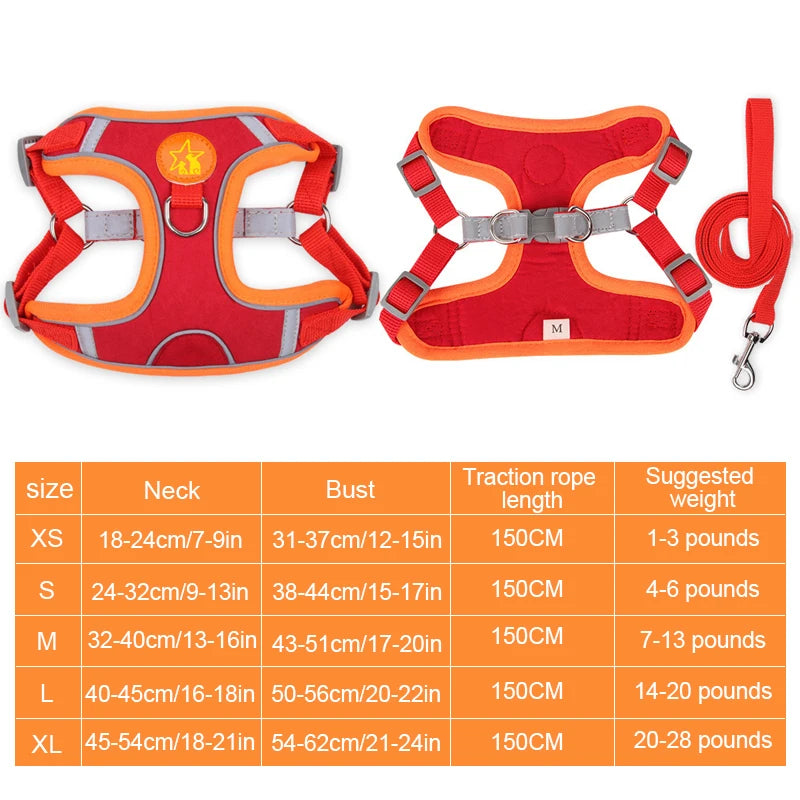 Sm/Med Reflective Vest & Leash for Walking