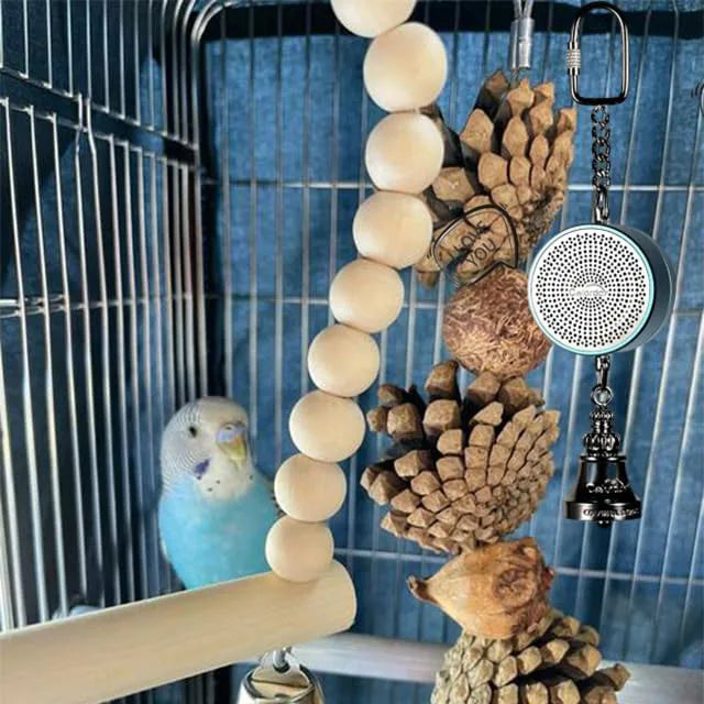 Parrot Teaching, Training Toys