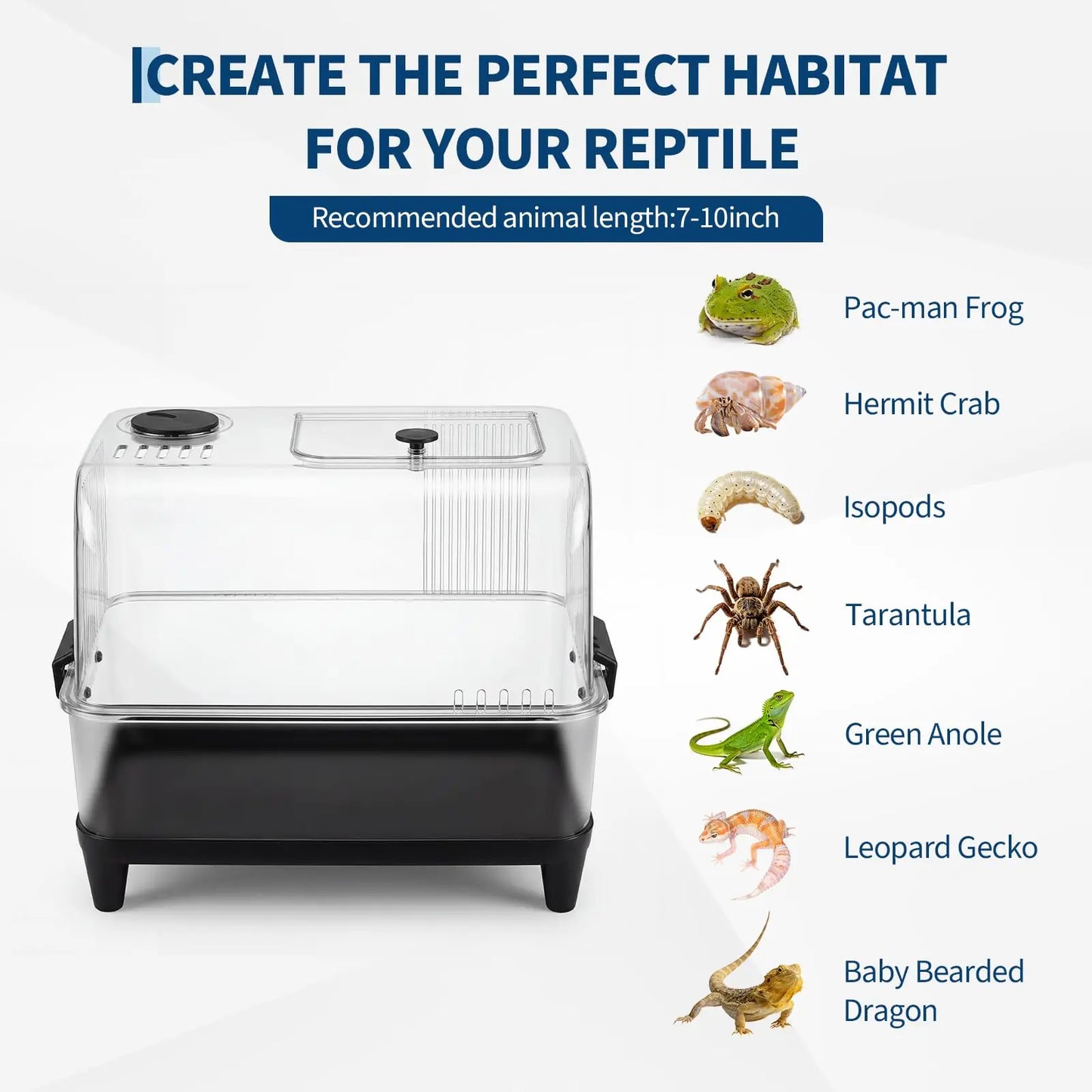 Reptiles Terrarium Kit w/Lid