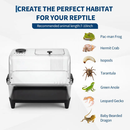 Reptiles Terrarium Kit w/Lid