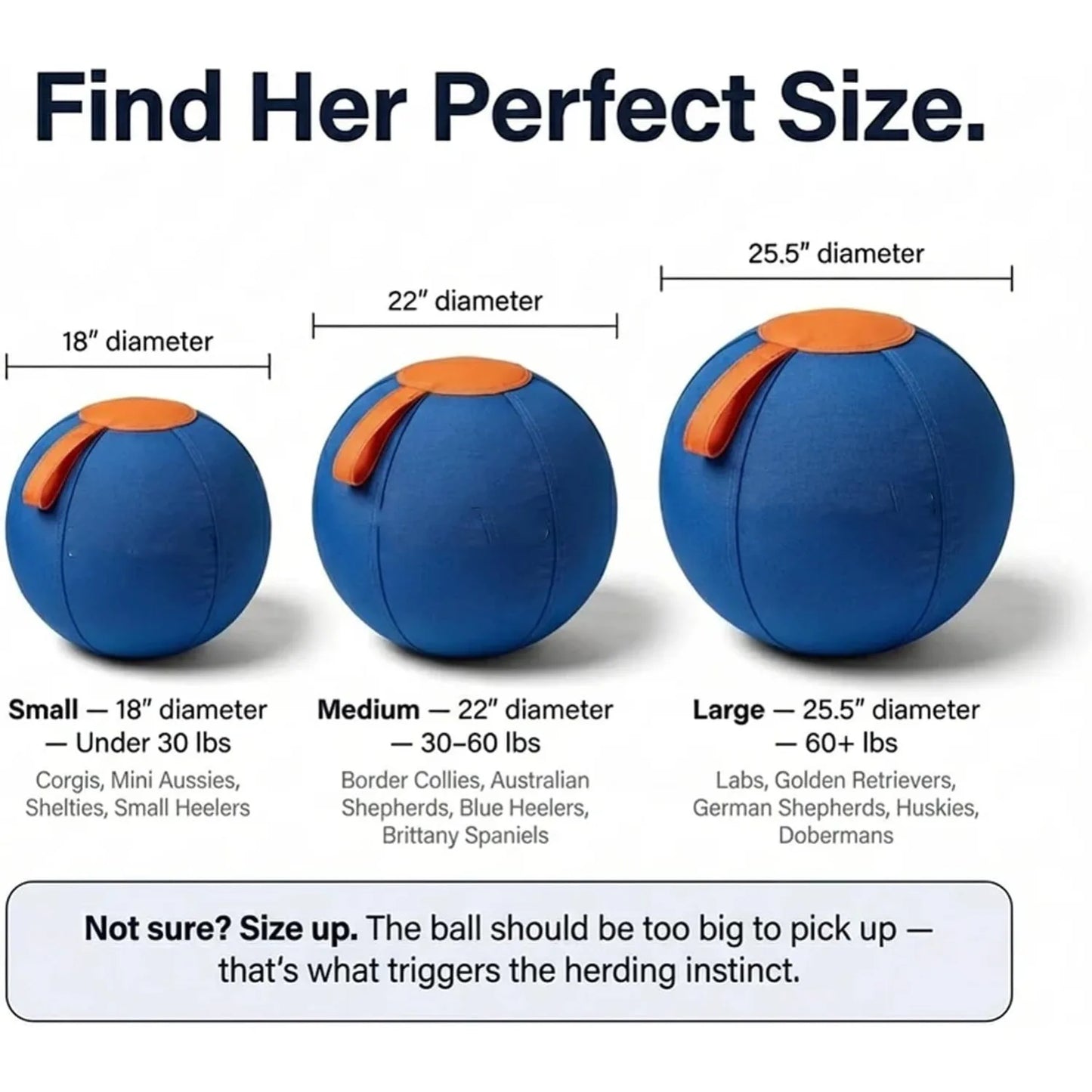 Extra Large Ruckus Herding Ball
