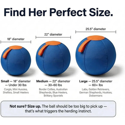 Extra Large Ruckus Herding Ball