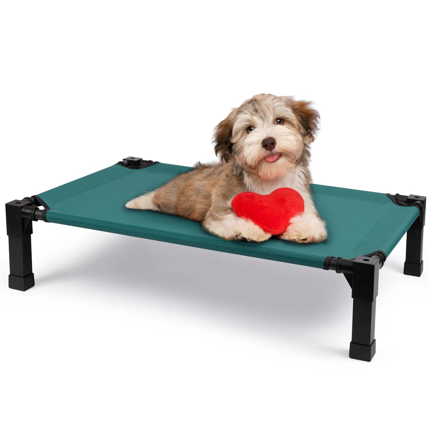 Cooling, Raised, Elevated Dog Bed