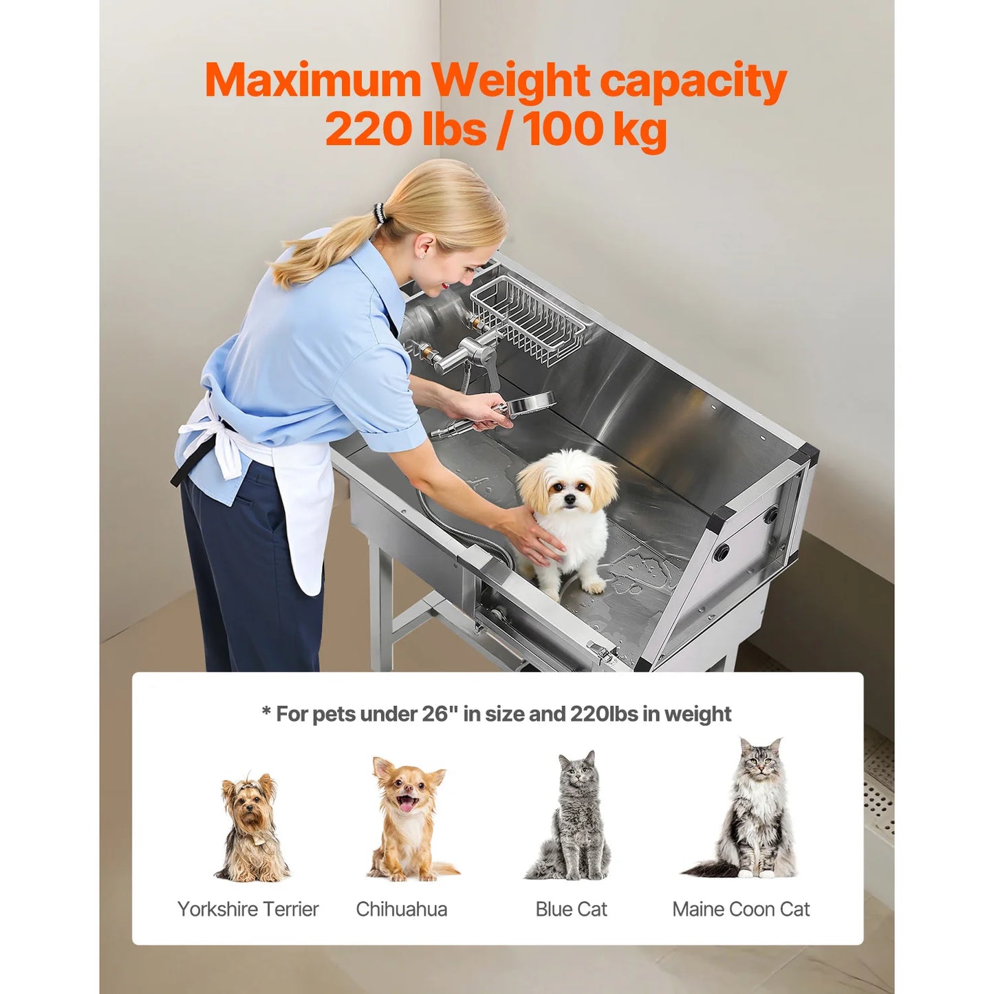 34" Stainless Steel Dog Washing Station