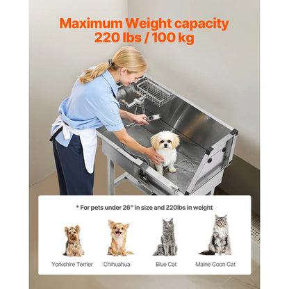 34" Stainless Steel Dog Washing Station