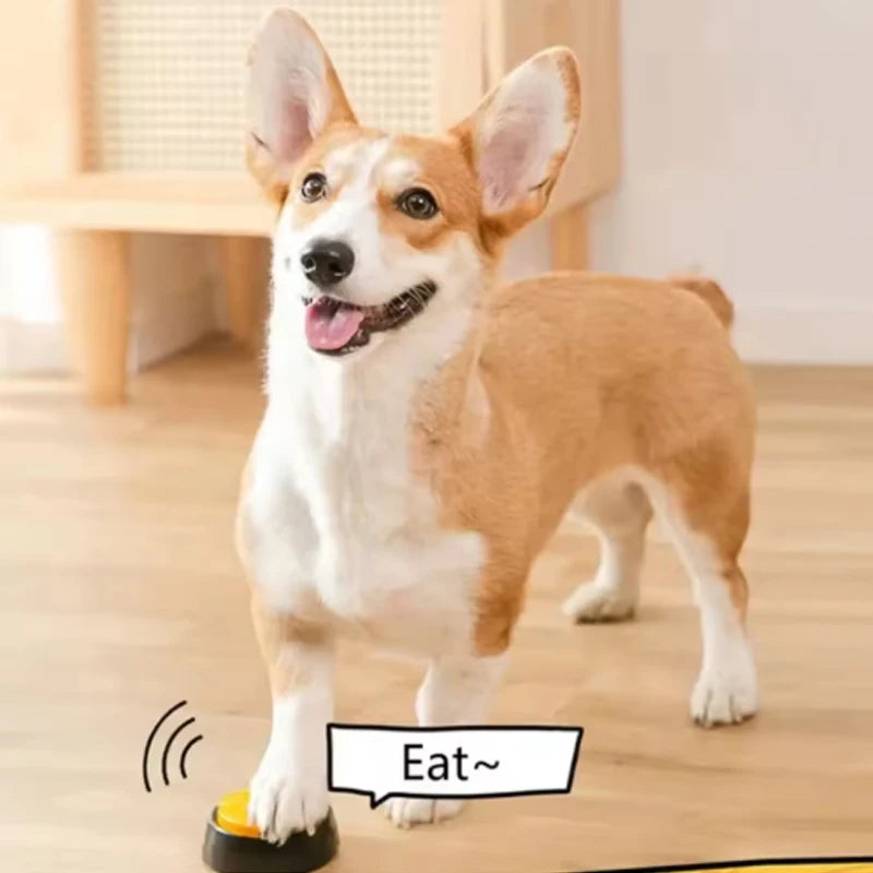 Funny Dog Recordable Pet Toy