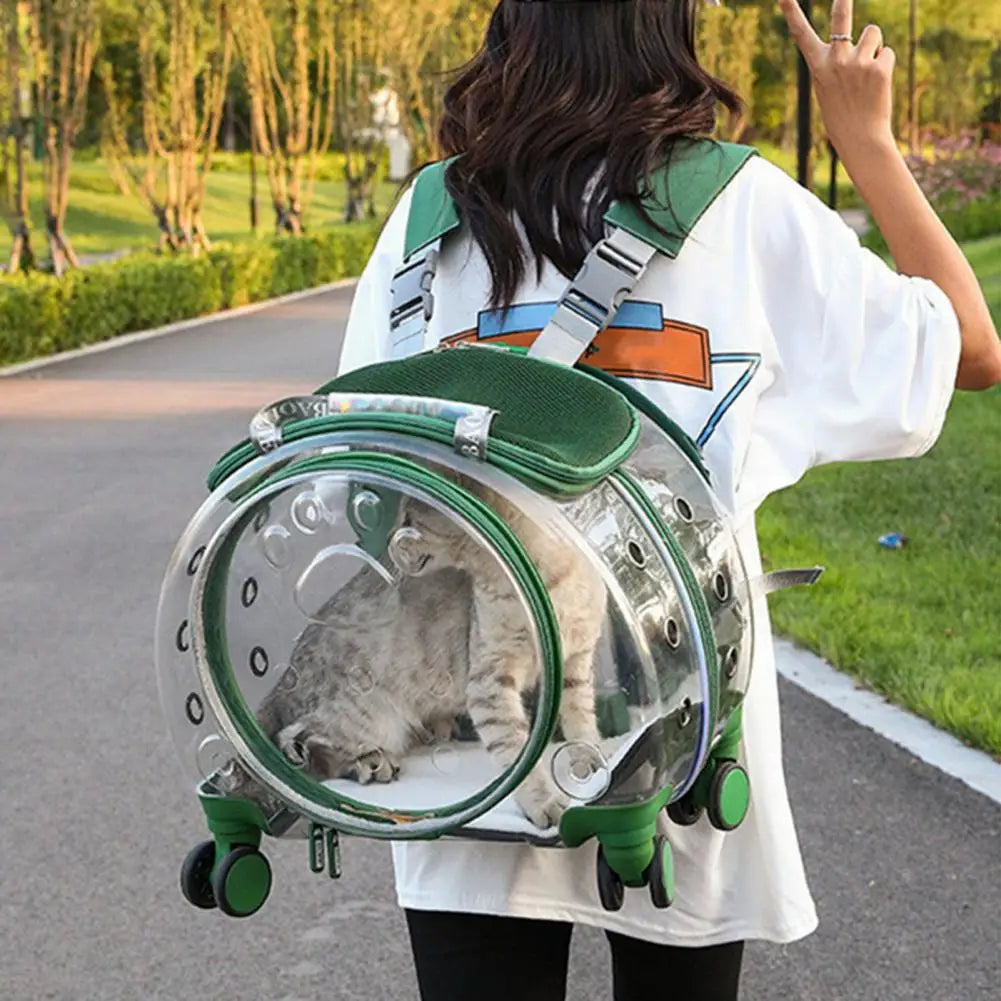 Clear Ventilation Pet Trolley Case