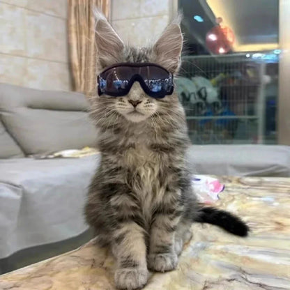 Small Breed UV Sunglasses, Adjustable Strap