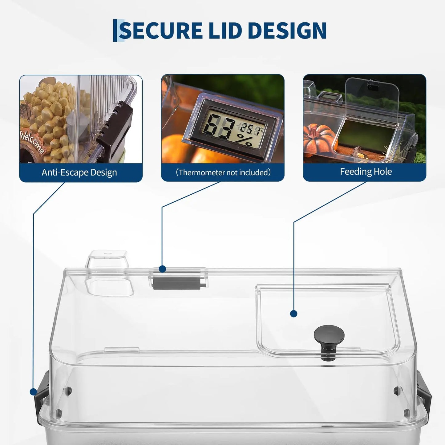 Small Acrylic Reptile Terrarium Kit With Lid