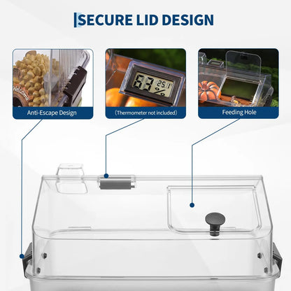 Small Acrylic Reptile Terrarium Kit With Lid