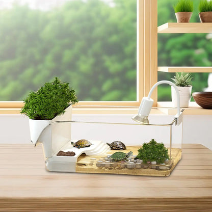 Turtle Tank with Basking Area
