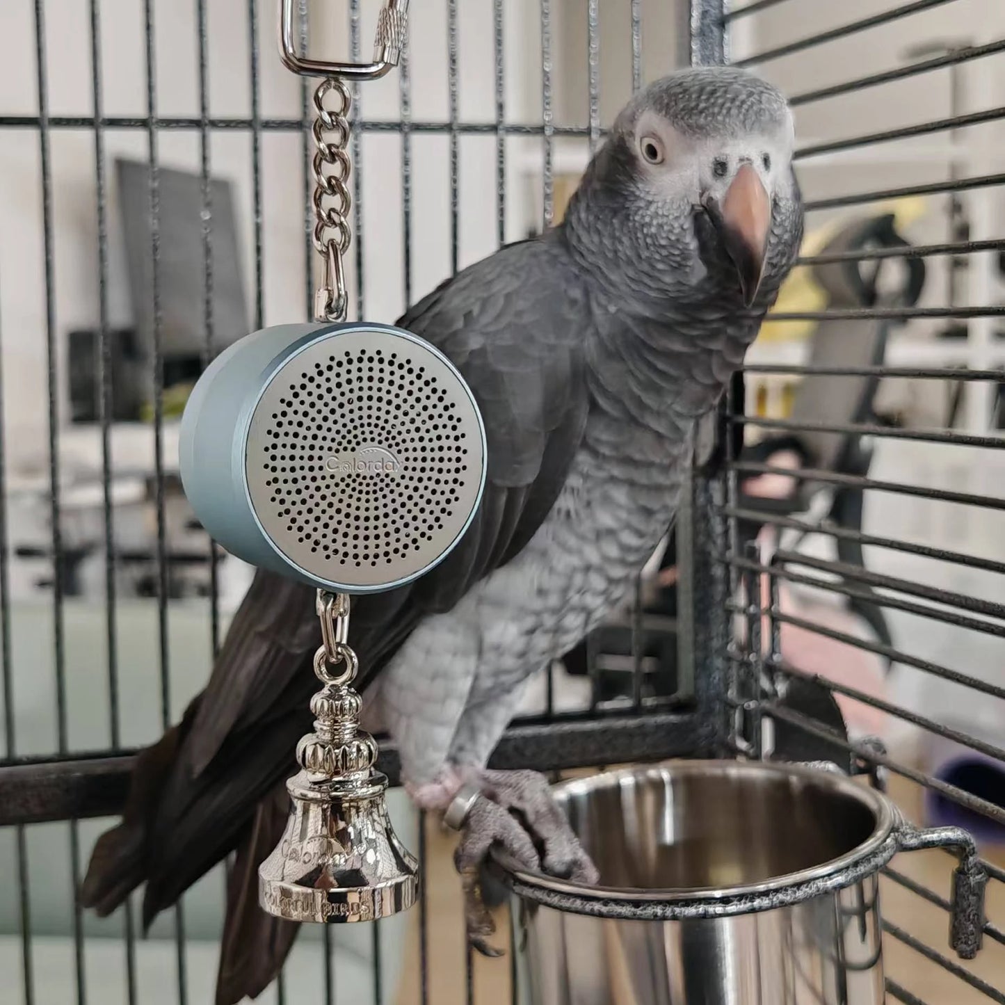 Parrot Teaching, Training Toys