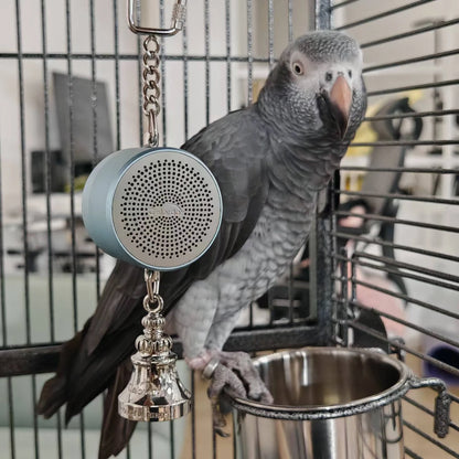 Parrot Teaching, Training Toys