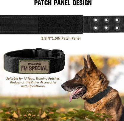 Adjustable Military Dog Collar