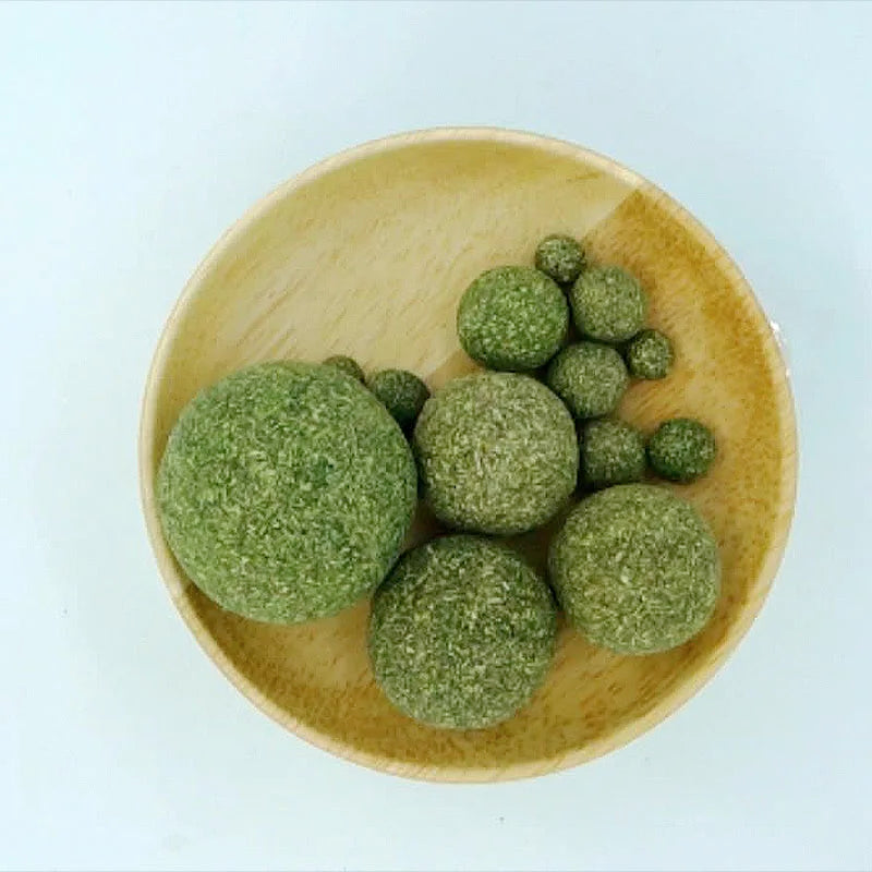 Edible Catnip Balls