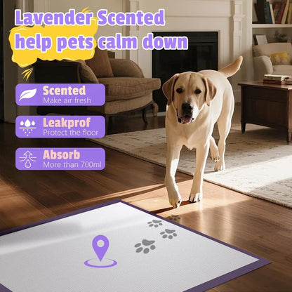 Lavender Scented Super Absorbent Leak-Proof Puppy Pads